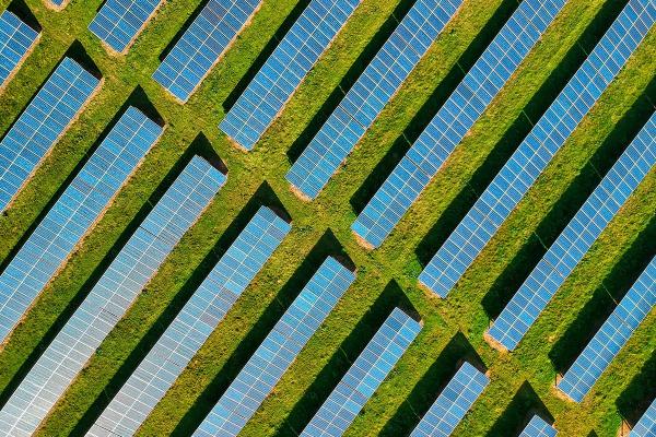 Field of solar panels