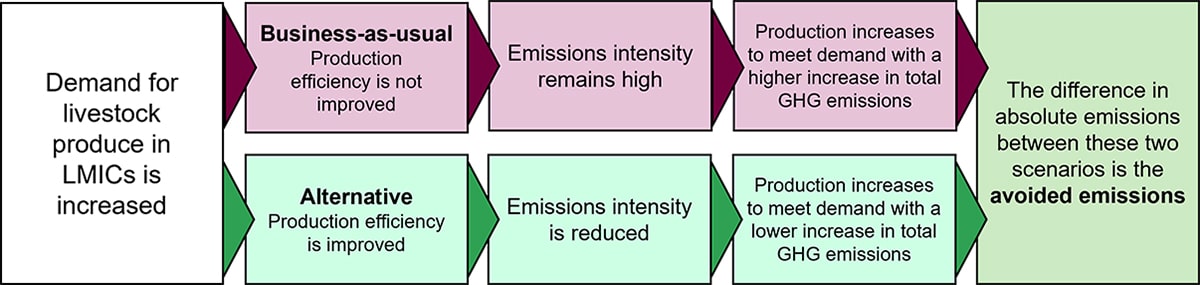 Flowchart showing two alternative scenarios (business-as-usual and investment to improve production efficiency) for the future of livestock production in LMICs