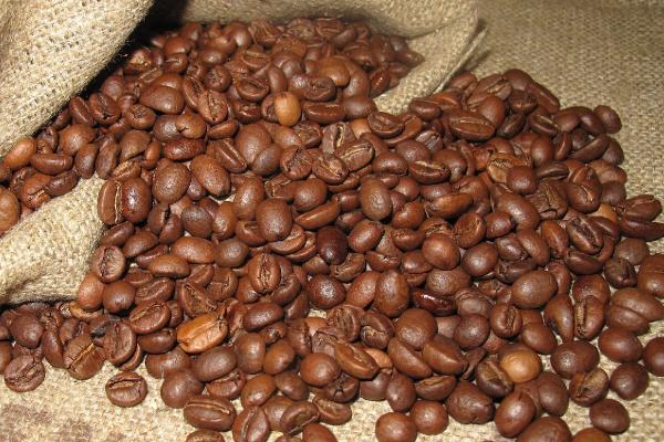 photo of a pile of coffee beans on a sack