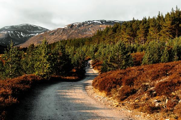 Scottish landscape of snow-covered mountains, forestry plantation and track