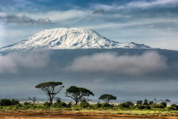 Mount Kilimanjaro with trees and grassland in the foreground