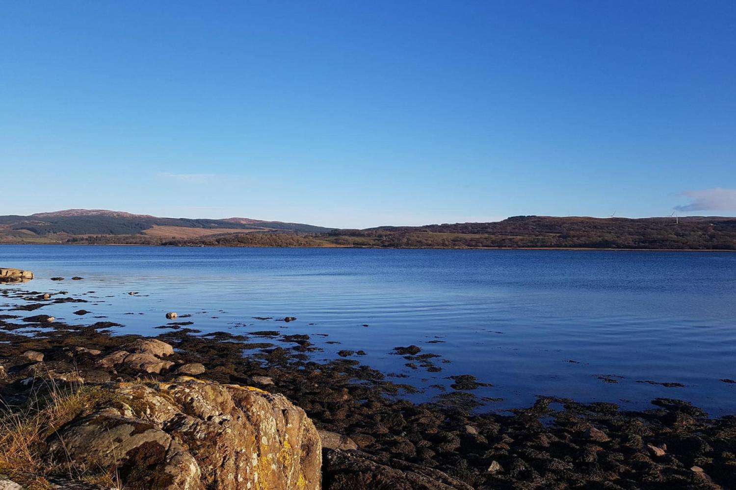 'Carbon is my thing': the climate geek trying to erase his footprint