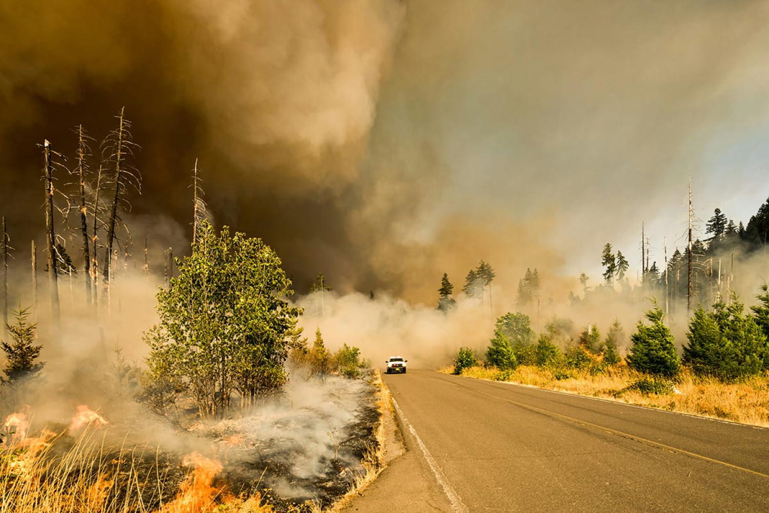 A car driving down a road surrounded by burning vegetation and smoke