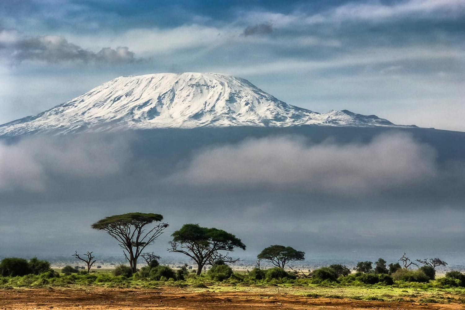 Mount Kilimanjaro with trees and grassland in the foreground