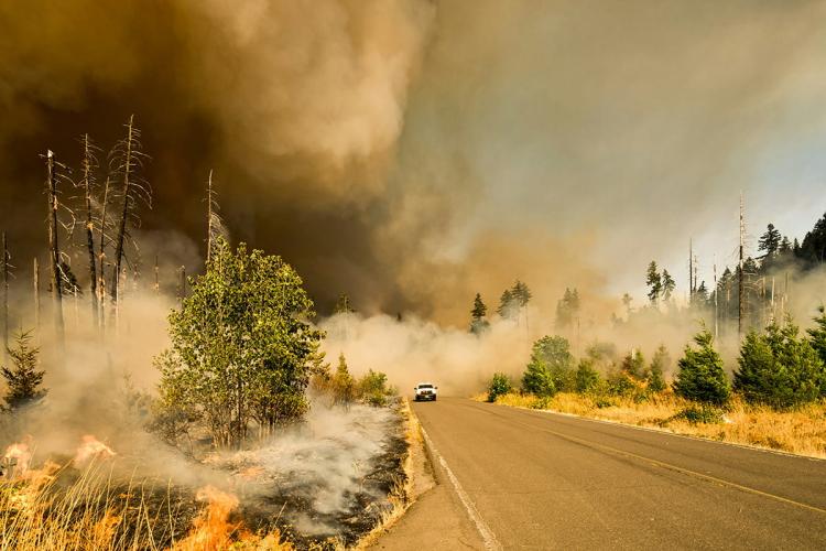 A car driving down a road surrounded by burning vegetation and smoke